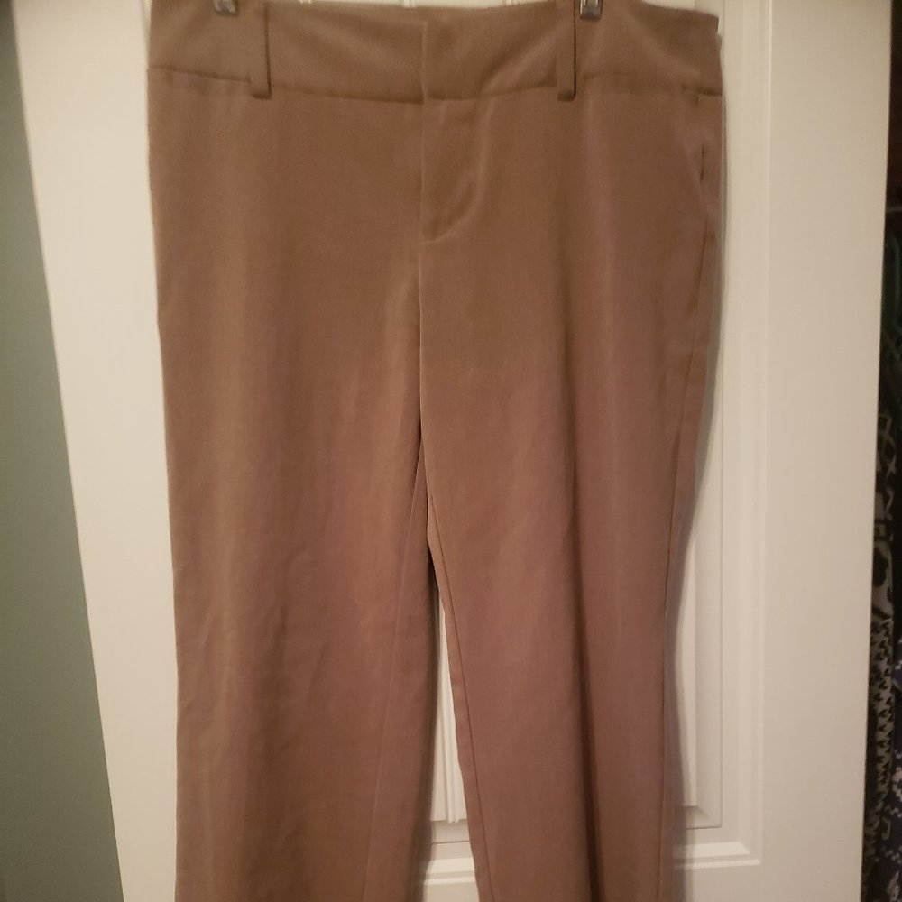 Dress Pants